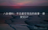 八卦爆料：不见星空背后的故事 · 爆笑9557