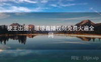 梗王出圈：暖暖直播视频免费火遍全网