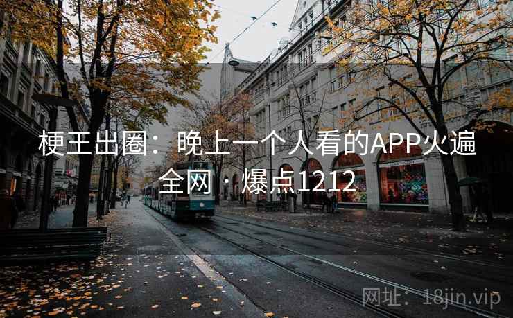 梗王出圈：晚上一个人看的APP火遍全网 · 爆点1212