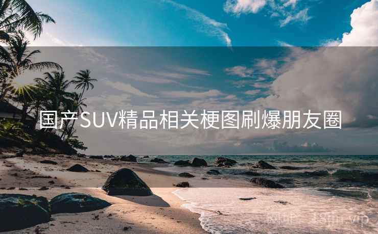 国产SUV精品相关梗图刷爆朋友圈